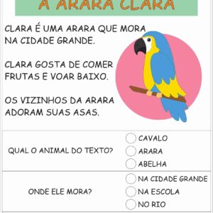 Texto Alfabetização