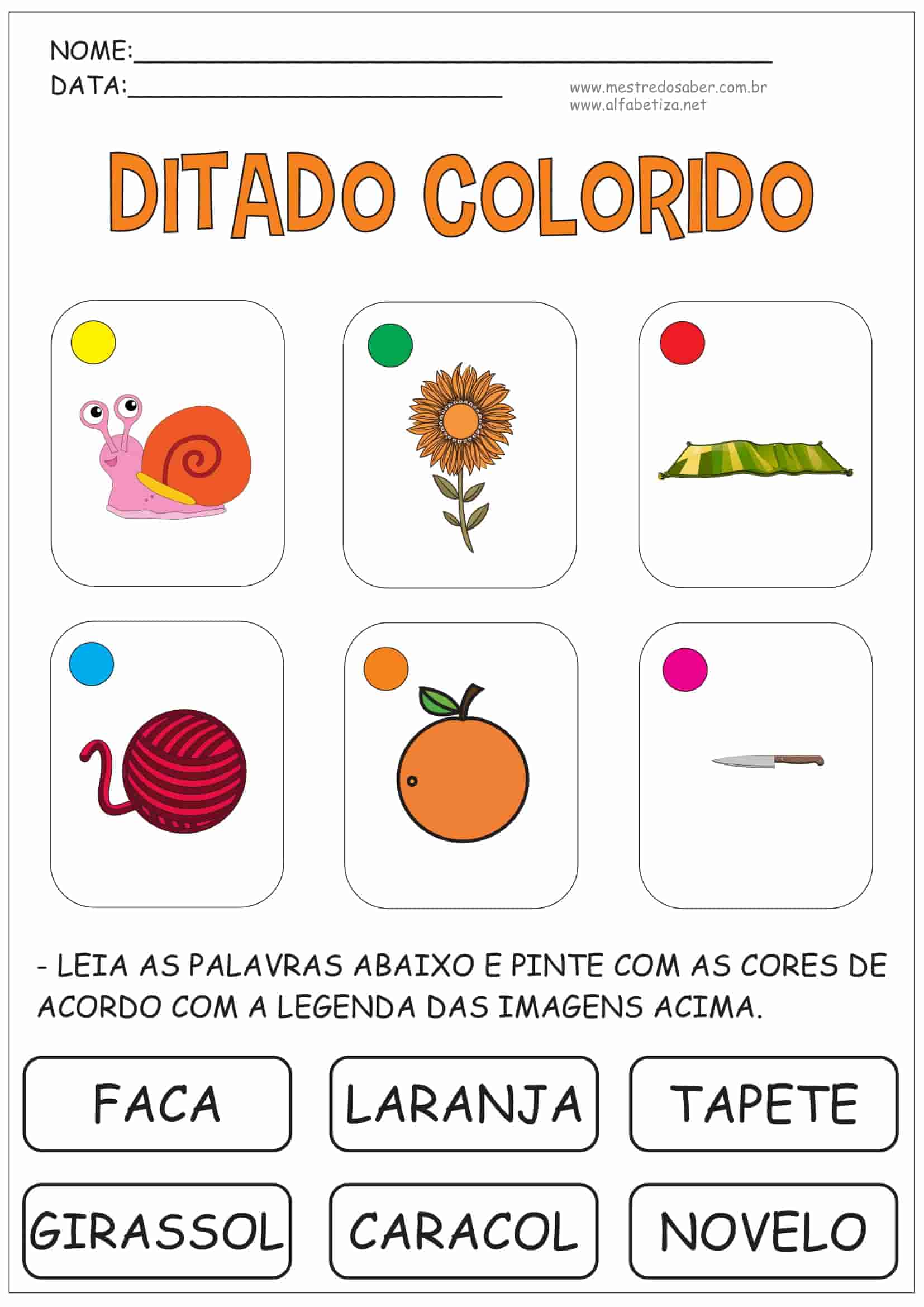 Ditado Colorido - Imagem 3