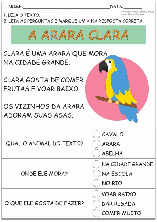 Texto Alfabetização