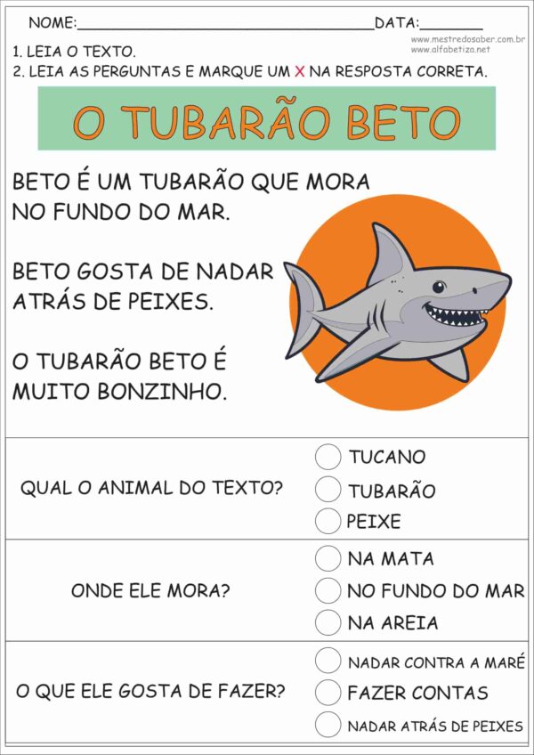 Texto Alfabetização - Imagem 3